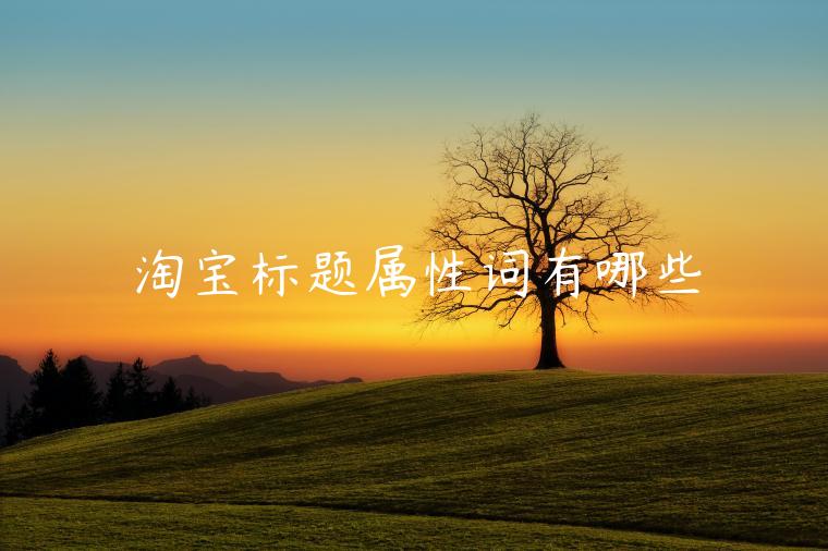 淘寶標(biāo)題屬性詞有哪些